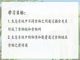 2024-2025學(xué)年蘇教版初中生物七年級下冊3.7.2  食物鏈和食物網(wǎng)課件