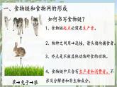 2024-2025學(xué)年蘇教版初中生物七年級下冊3.7.2  食物鏈和食物網(wǎng)課件