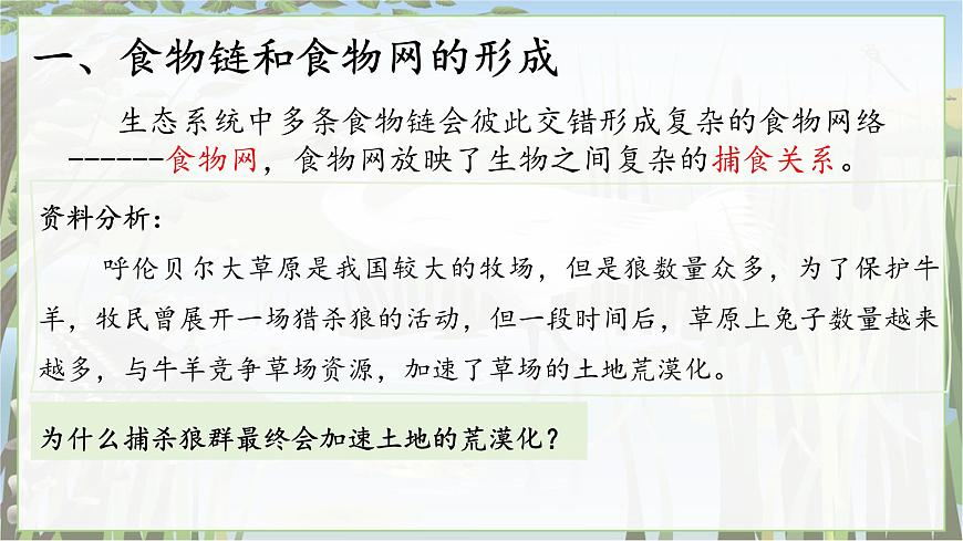 2024-2025学年苏教版初中生物七年级下册3.7.2  食物链和食物网课件第8页