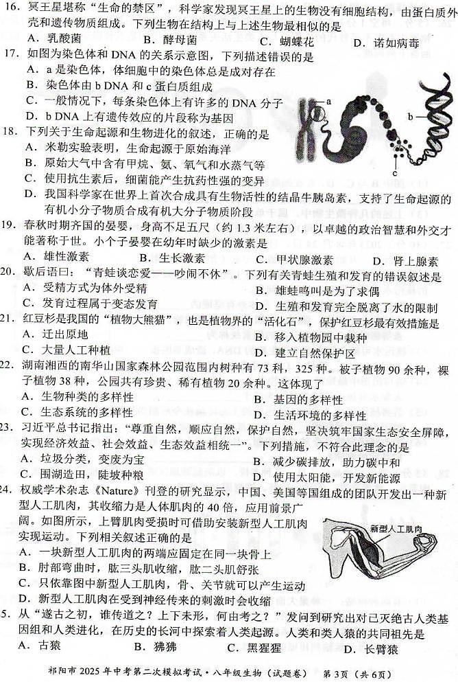 2025年湖南省永州市祁阳市八年级二模生物试题（中考模拟）第3页