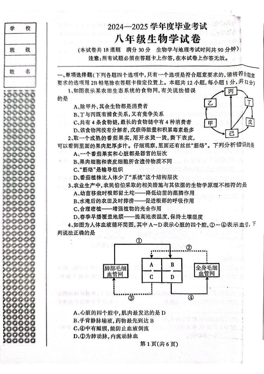 2025年辽宁省丹东市凤城市八年级二模生物试题（中考模拟）第1页