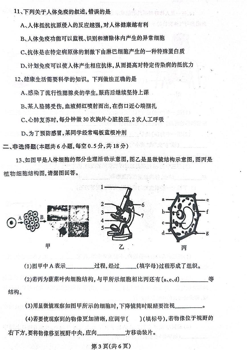 2025年辽宁省丹东市凤城市八年级二模生物试题（中考模拟）第3页