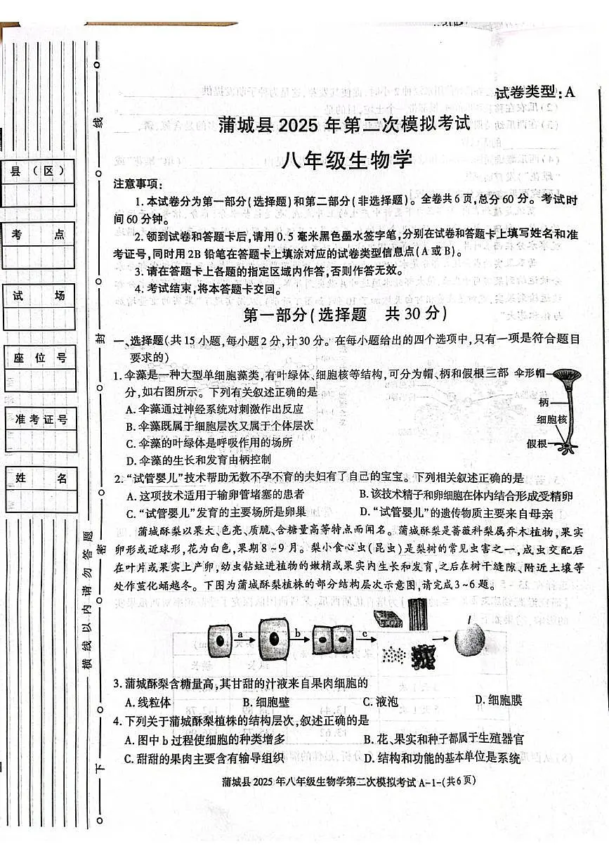 2025年陕西省渭南市蒲城县八年级二模生物试卷（中考模拟）第1页
