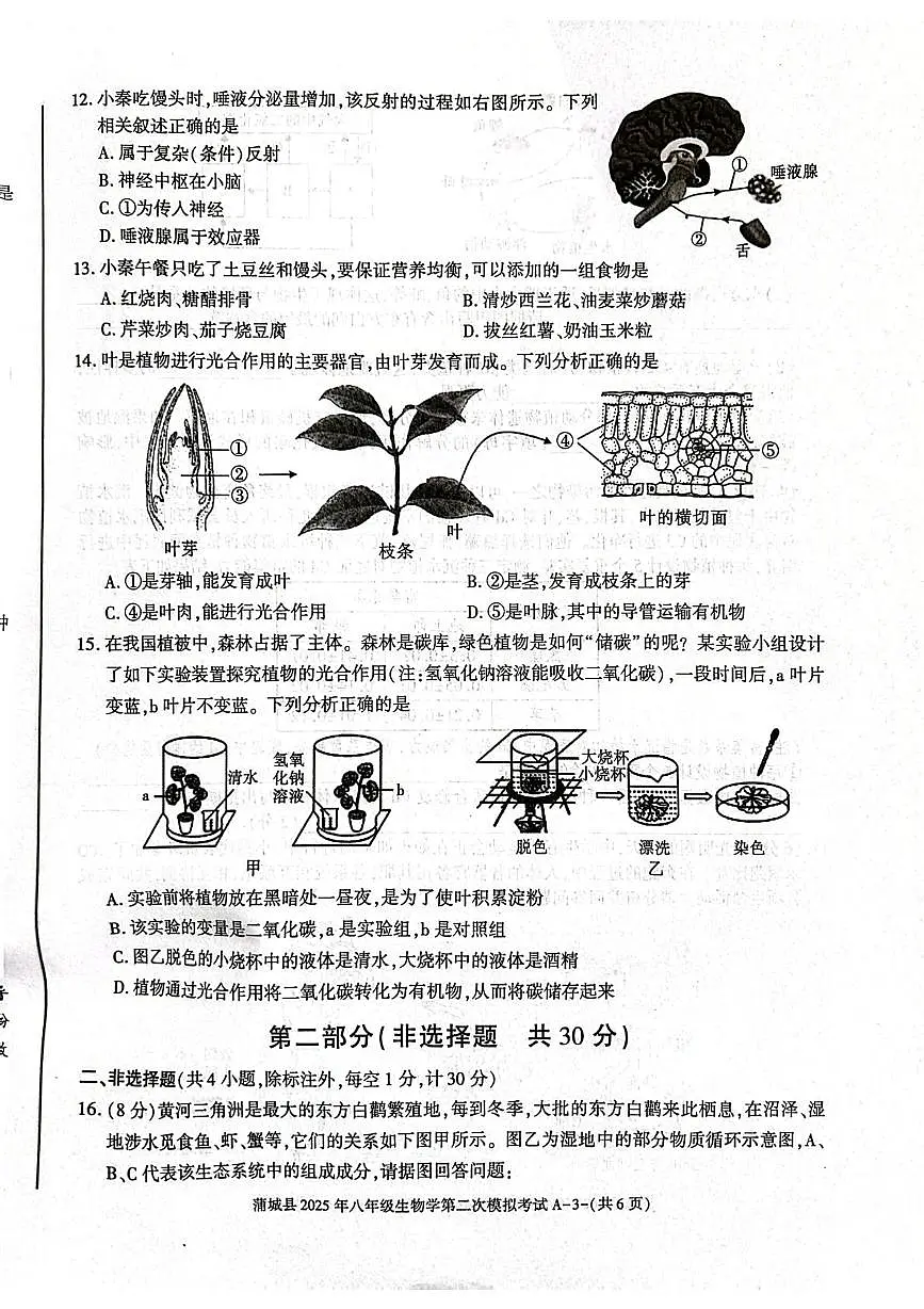 2025年陕西省渭南市蒲城县八年级二模生物试卷（中考模拟）第3页
