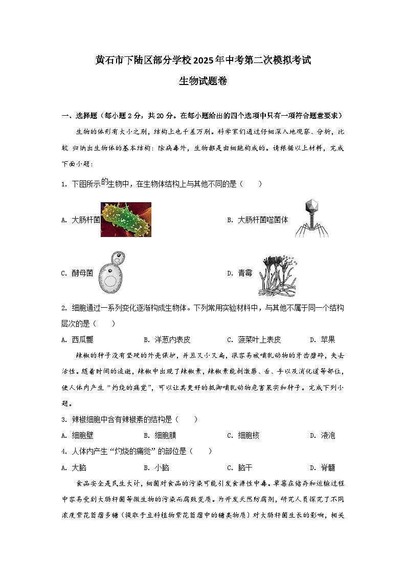 2025年湖北省黄石市下陆区部分学校中考第二次模拟考试生物试题（中考模拟）第1页