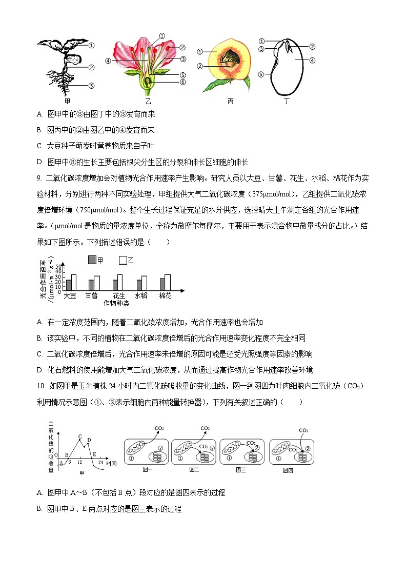 2025年山东省滨州市无棣县八年级二模生物试题（中考模拟）第3页