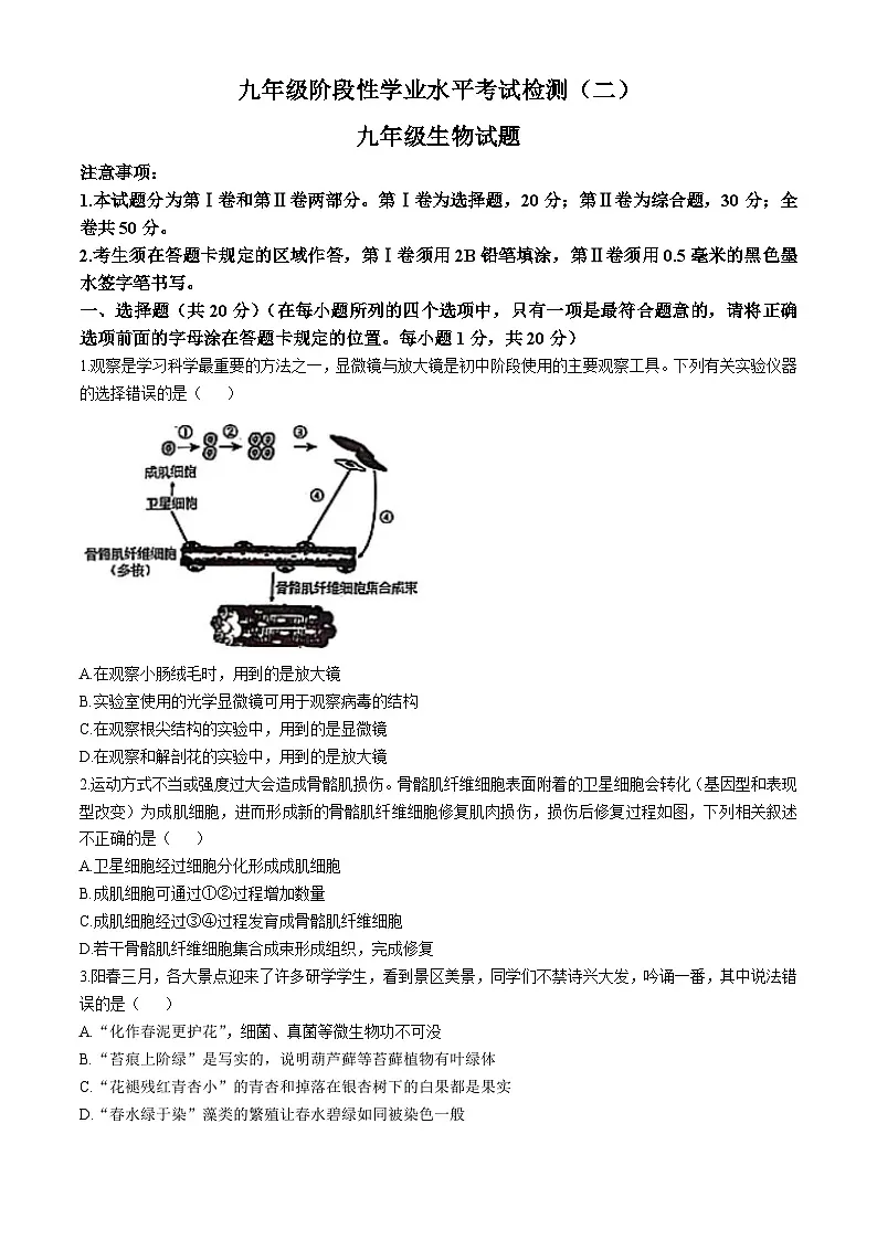 2025年山东省菏泽市菏泽经济技术开发区九年级中考二模生物试题（中考模拟）第1页