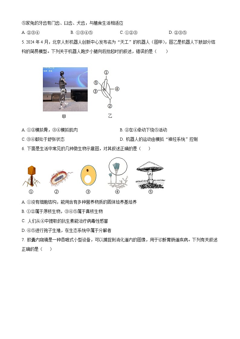 2025年山东省济南市历城区八年级中考二模生物试题（中考模拟）第2页