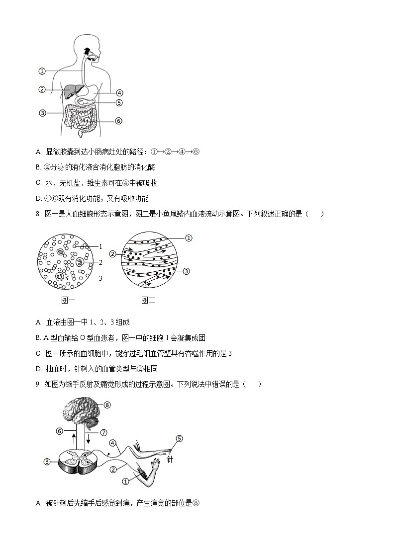 2025年山东省济南市历城区八年级中考二模生物试题（中考模拟）第3页