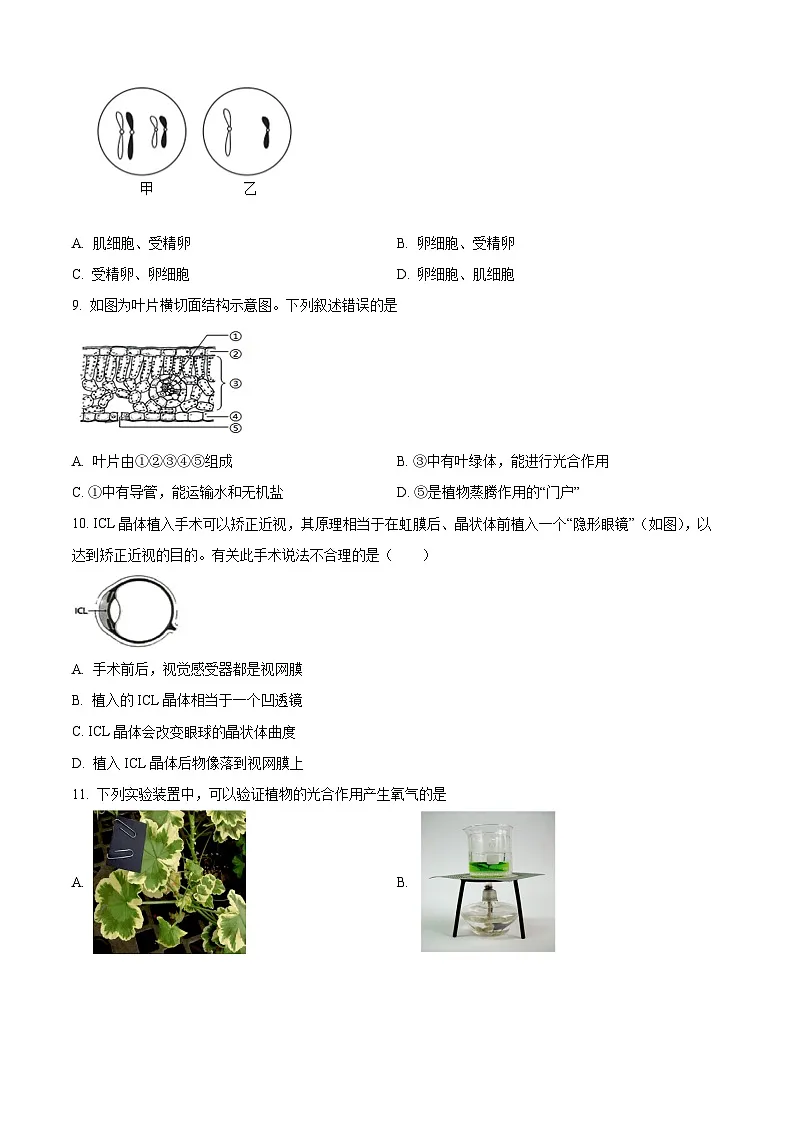 2025年山东省青岛市崂山区八年级二模生物试题（中考模拟）第3页