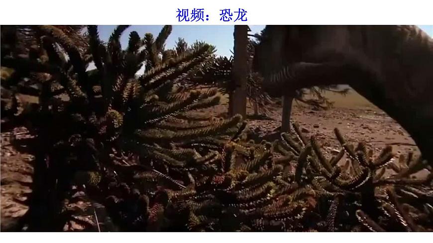 2025年春人教版生物八年级下册教学课件 第7单元 第3章 第2节 生物进化的历程第3页