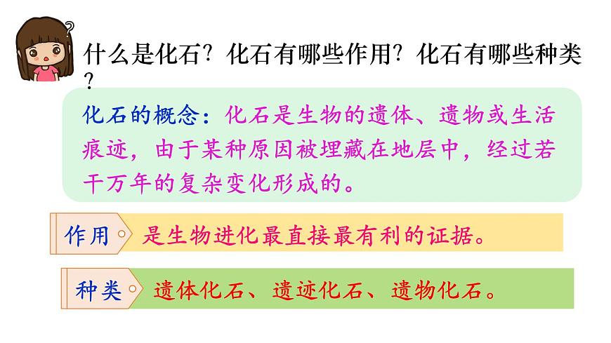 2025年春人教版生物八年级下册教学课件 第7单元 第3章 第2节 生物进化的历程第6页