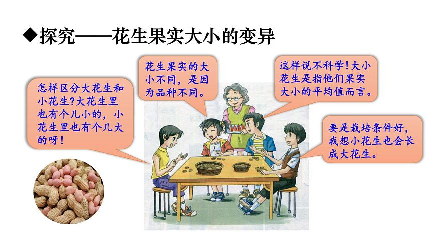 2025年春人教版生物八年级下册教学课件 第7单元 第2章 第5节 生物的变异第6页