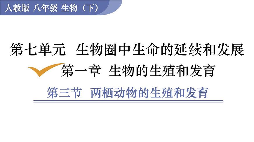 2025年春人教版生物八年级下册教学课件 第7单元 第1章 第3节 两栖动物的生殖和发育第1页