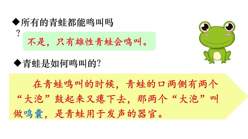 2025年春人教版生物八年级下册教学课件 第7单元 第1章 第3节 两栖动物的生殖和发育第5页