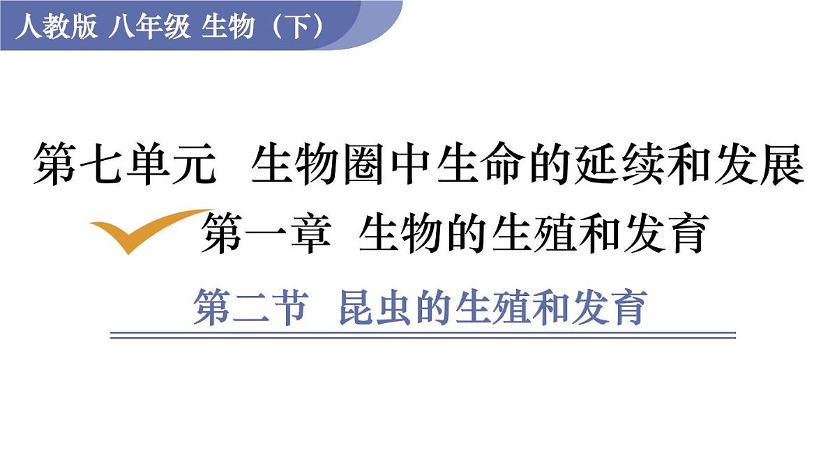 2025年春人教版生物八年级下册教学课件 第7单元 第1章 第2节 昆虫的生殖和发育第1页