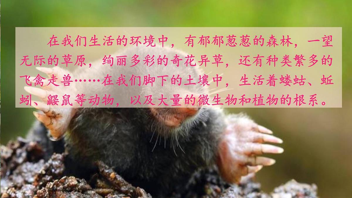 2025年春人教版生物八年级下册教学课件 第7单元 第1章 第2节 昆虫的生殖和发育第2页