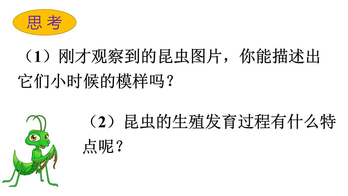 2025年春人教版生物八年级下册教学课件 第7单元 第1章 第2节 昆虫的生殖和发育第4页