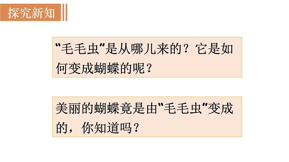 2025年春人教版生物八年级下册教学课件 第7单元 第1章 第2节 昆虫的生殖和发育第5页