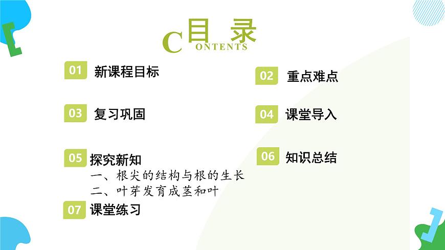 2025年春苏教版生物七年级下册教学课件 4.9.2 植物的生长第2页