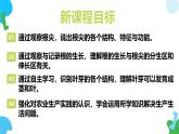 2025年春蘇教版生物七年級下冊教學課件 4.9.2 植物的生長