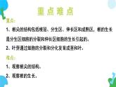 2025年春蘇教版生物七年級下冊教學課件 4.9.2 植物的生長