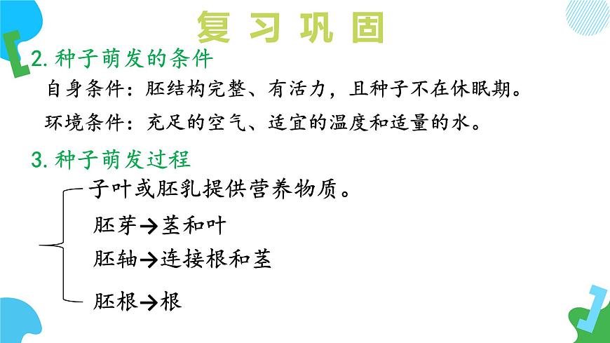 2025年春苏教版生物七年级下册教学课件 4.9.2 植物的生长第6页