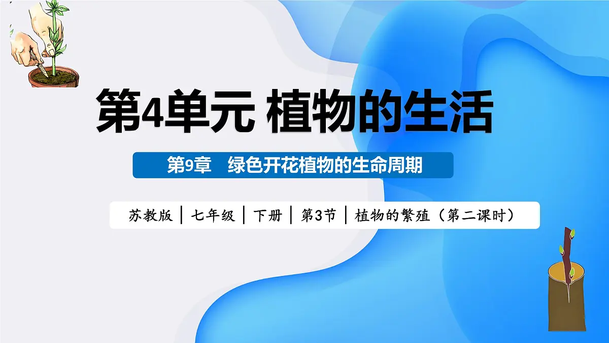 2025年春苏教版生物七年级下册教学课件 4.9.3 植物的繁殖（第二课时）第1页