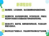 2025年春蘇教版生物七年級下冊教學課件 4.9.3 植物的繁殖（第二課時）