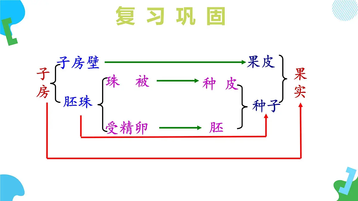 2025年春苏教版生物七年级下册教学课件 4.9.3 植物的繁殖（第二课时）第6页