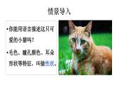 2025年春蘇教版生物八年級下冊教學(xué)課件 第22章  第2節(jié) 人的性狀和遺傳