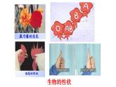 2025年春蘇教版生物八年級下冊教學(xué)課件 第22章  第2節(jié) 人的性狀和遺傳