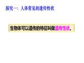 2025年春蘇教版生物八年級下冊教學(xué)課件 第22章  第2節(jié) 人的性狀和遺傳