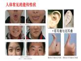 2025年春蘇教版生物八年級下冊教學(xué)課件 第22章  第2節(jié) 人的性狀和遺傳