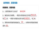 2025年春蘇教版生物八年級(jí)下冊(cè)教學(xué)課件 第22章  第3節(jié) 人的性別決定