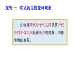 2025年春蘇教版生物八年級(jí)下冊(cè)教學(xué)課件 第22章  第5節(jié) 生物的變異