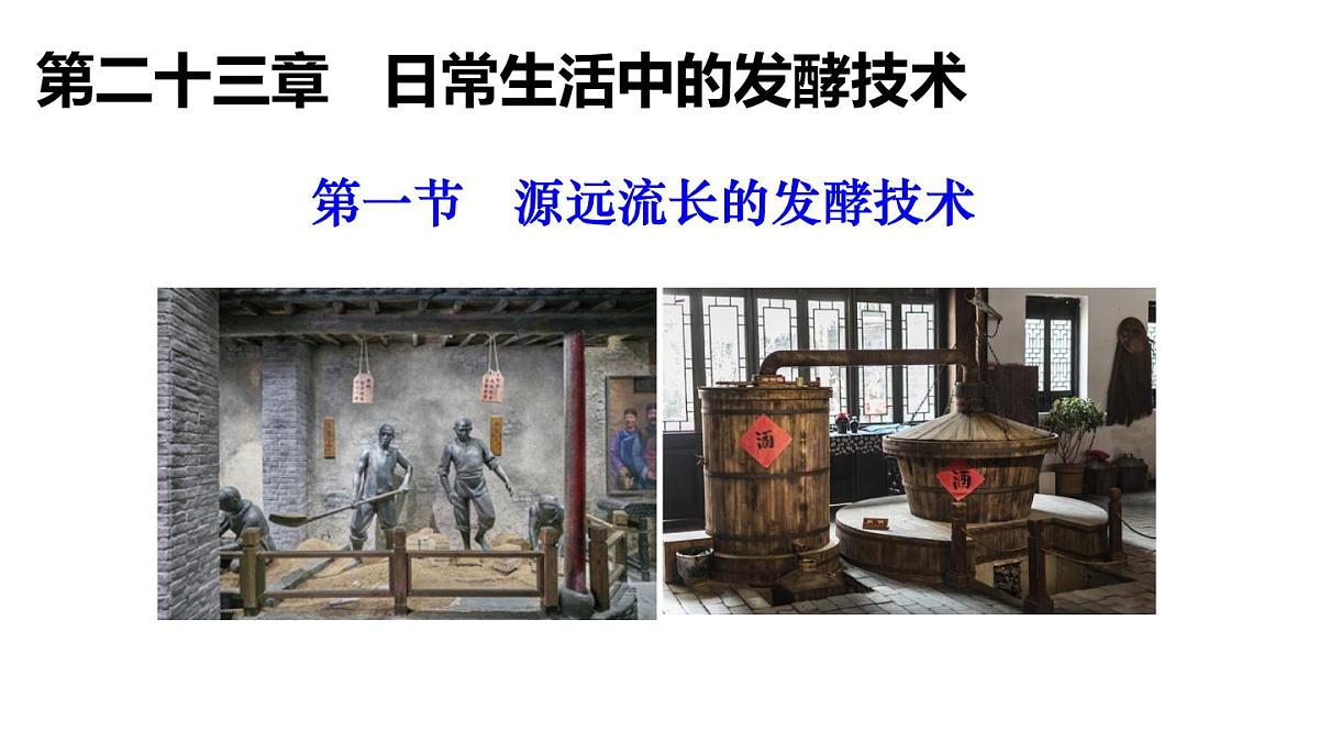 2025年春苏教版生物八年级下册教学课件 第23章  第1节 源远流长的发酵技术第1页