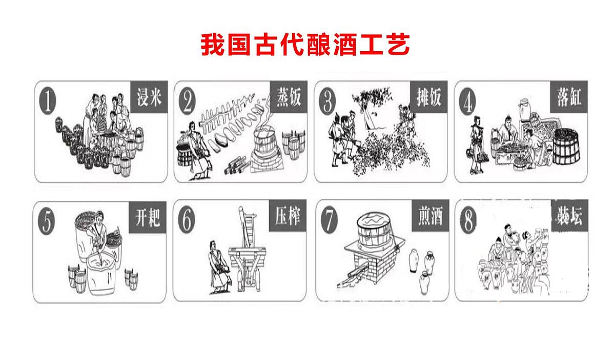 2025年春苏教版生物八年级下册教学课件 第23章  第1节 源远流长的发酵技术第5页