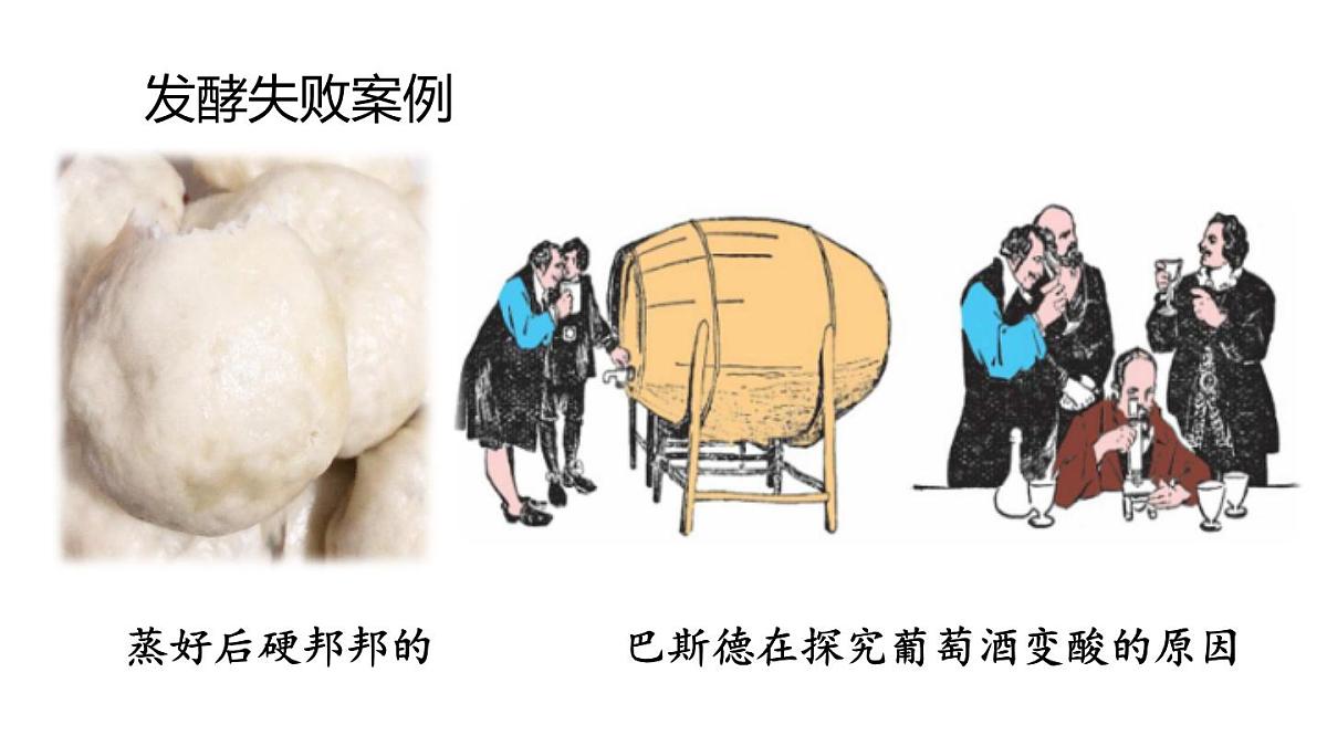 2025年春苏教版生物八年级下册教学课件 第23章  第1节 源远流长的发酵技术第6页