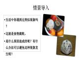 2025年春蘇教版生物八年級下冊教學(xué)課件 第23章  第2節(jié) 食品保存