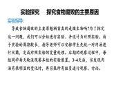 2025年春蘇教版生物八年級下冊教學(xué)課件 第23章  第2節(jié) 食品保存