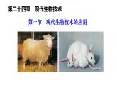 2025年春蘇教版生物八年級下冊教學(xué)課件 第24章  第1節(jié) 現(xiàn)代生物技術(shù)的應(yīng)用