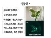 2025年春蘇教版生物八年級下冊教學(xué)課件 第24章  第1節(jié) 現(xiàn)代生物技術(shù)的應(yīng)用