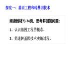2025年春蘇教版生物八年級下冊教學(xué)課件 第24章  第1節(jié) 現(xiàn)代生物技術(shù)的應(yīng)用