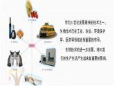 2025年春蘇教版生物八年級下冊教學(xué)課件 第24章  第2節(jié) 關(guān)注生物技術(shù)