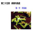 2025年春蘇教版生物八年級(jí)下冊(cè)教學(xué)課件 第25章  第1節(jié) 傳染病