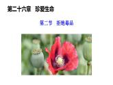 2025年春蘇教版生物八年級(jí)下冊(cè)教學(xué)課件 第26章  第2節(jié) 拒絕毒品