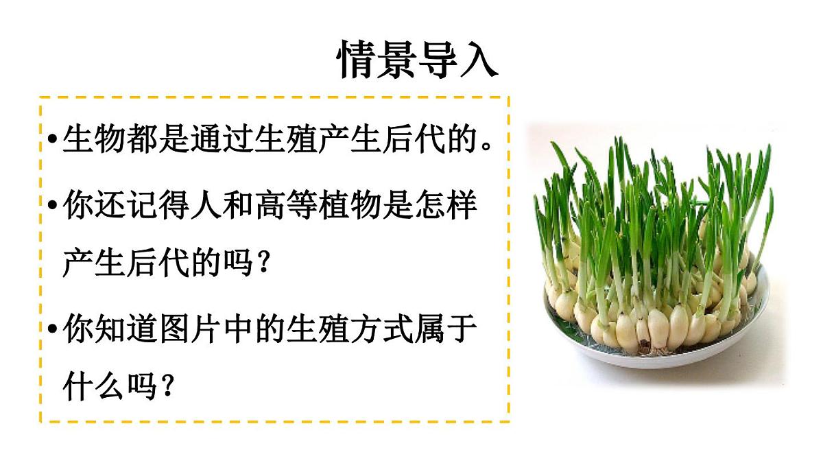 2025年春苏教版生物八年级下册教学课件 第21章 第1节 生物的无性生殖第2页