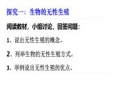 2025年春蘇教版生物八年級下冊教學(xué)課件 第21章  第1節(jié) 生物的無性生殖