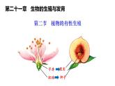2025年春蘇教版生物八年級下冊教學(xué)課件 第21章  第2節(jié) 植物的有性生殖